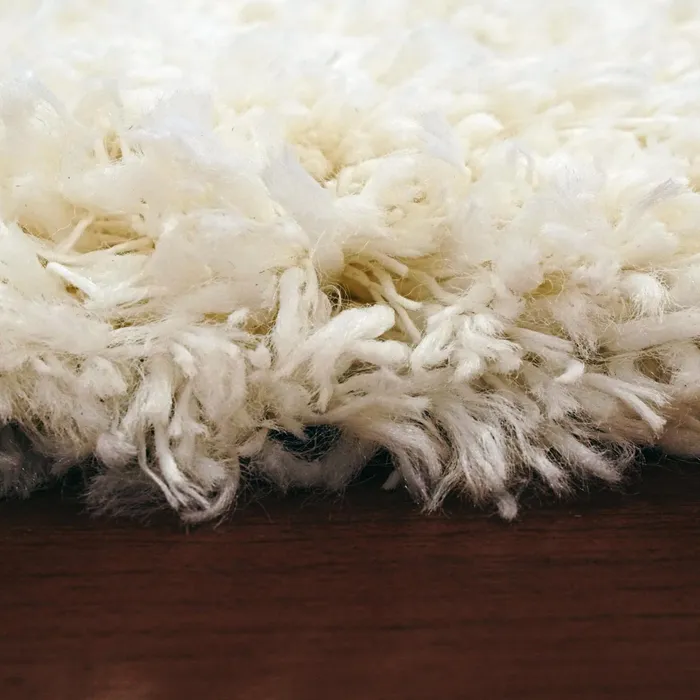 Anne Klein The Posh Contemporary Rug Collection Ivory Women Home