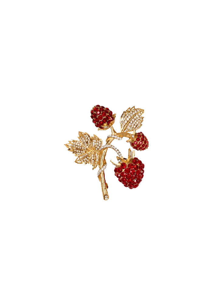 Balmain Fashion Jewelry Women Strawberry Brooch In Brass And Rhinestones Red