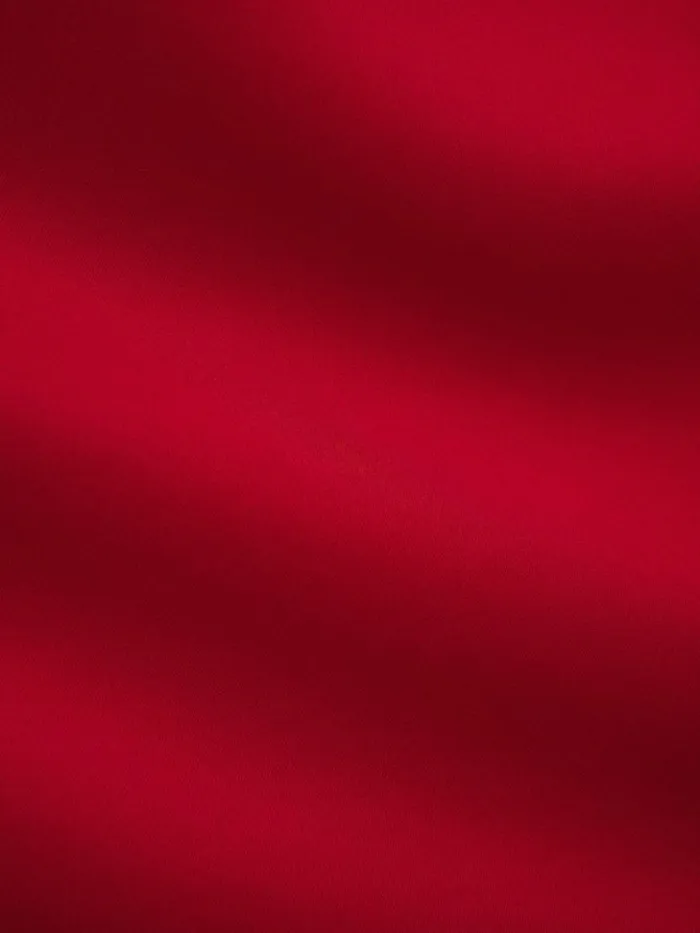 Clothing The Reformation Pacie Satin Dress Cherry