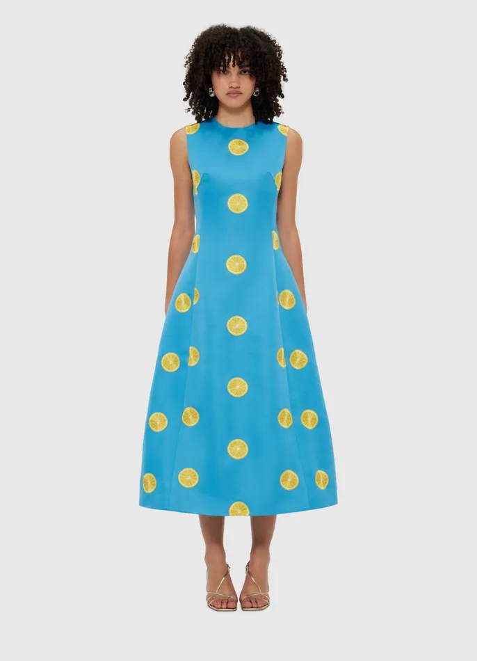 Dresses and Jumpsuits Women LEO LIN Cleo Embroidered Sleeveless Midi Dress 8211 Citrus Embroidery