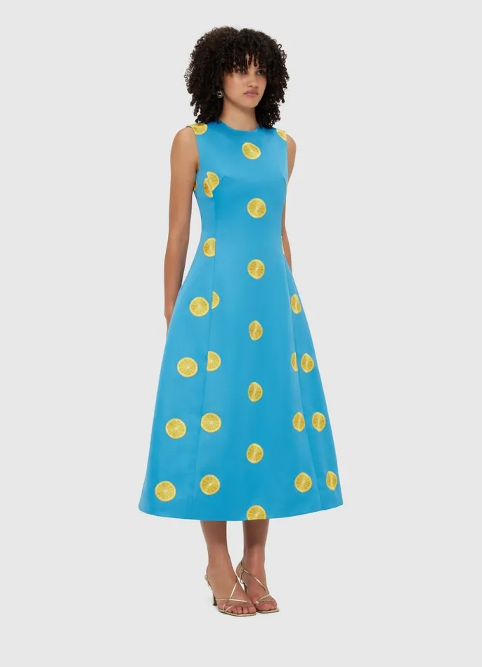 Dresses and Jumpsuits Women LEO LIN Cleo Embroidered Sleeveless Midi Dress 8211 Citrus Embroidery