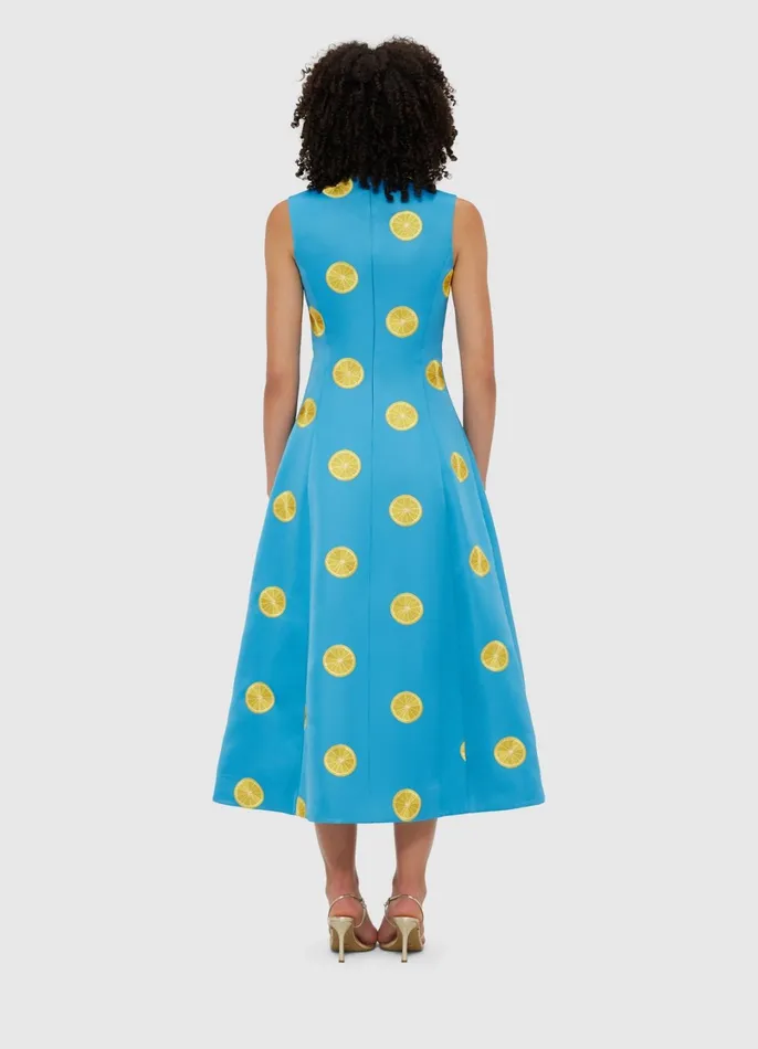 Dresses and Jumpsuits Women LEO LIN Cleo Embroidered Sleeveless Midi Dress 8211 Citrus Embroidery