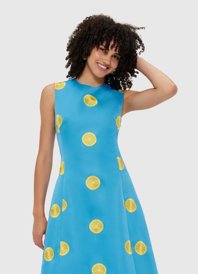 Dresses and Jumpsuits Women LEO LIN Cleo Embroidered Sleeveless Midi Dress 8211 Citrus Embroidery