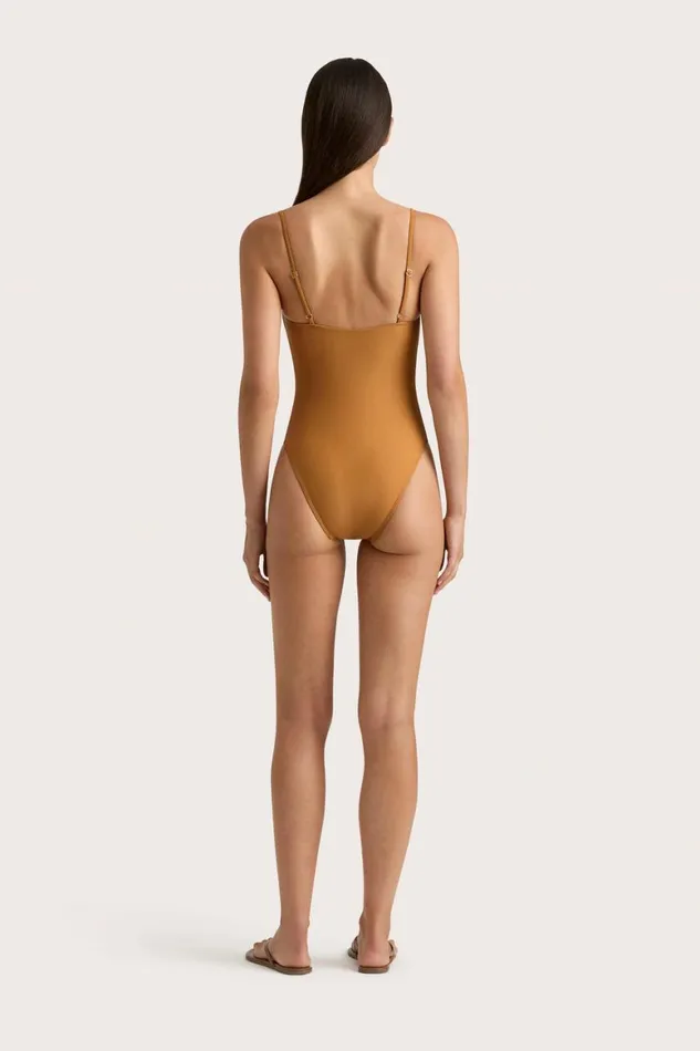 Faithfull The Brand Swim Gabriela One Piece Terracotta 8211 Women Faithfull The Brand Swim Gabriela One Piece Terracotta 8211 Women