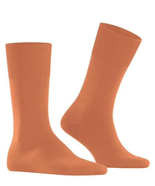 Men ClimaWool Men Socks Tandoori FALKE Socks