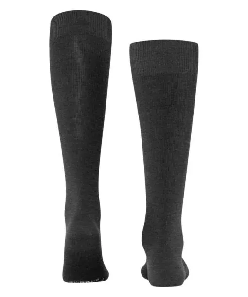 Men Energizing Wool Men Kneehigh Socks Anthramel FALKE Functionals