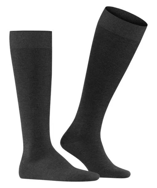 Men Energizing Wool Men Kneehigh Socks Anthramel FALKE Functionals