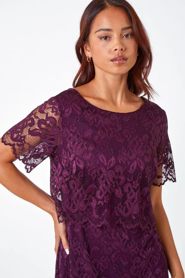 Plum Petite Lace Overlay Stretch Dress Women Roman Dresses