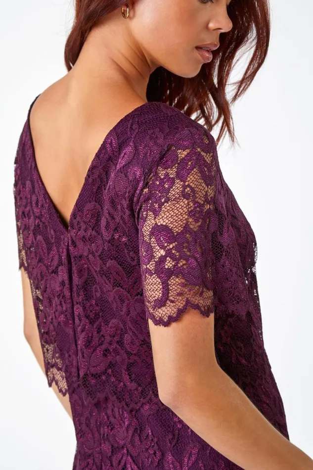 Plum Petite Lace Overlay Stretch Dress Women Roman Dresses