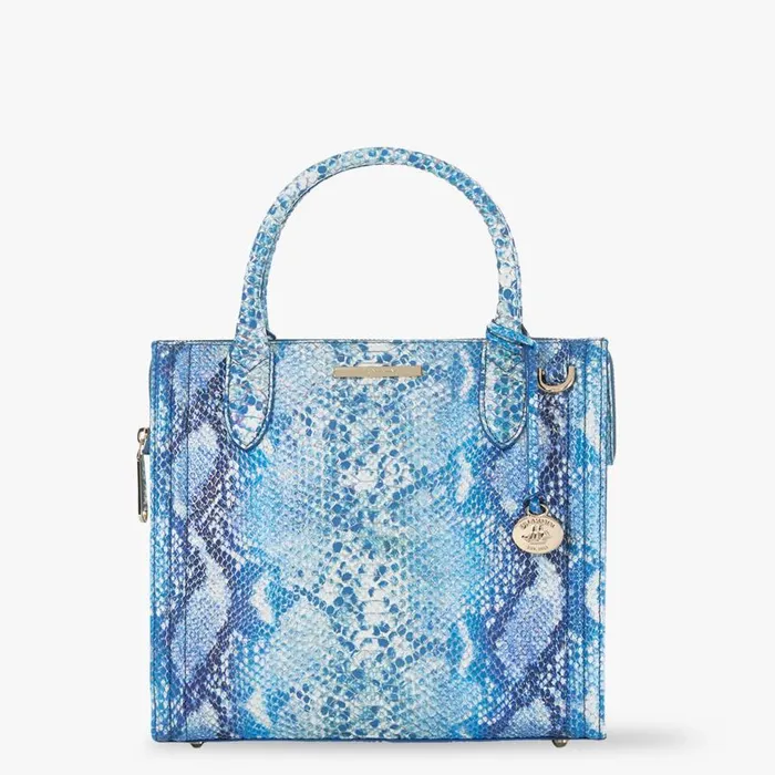 Women Brahmin Satchels Small Caroline Joyful Oceangrove
