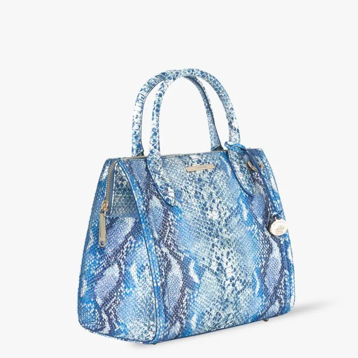 Women Brahmin Satchels Small Caroline Joyful Oceangrove