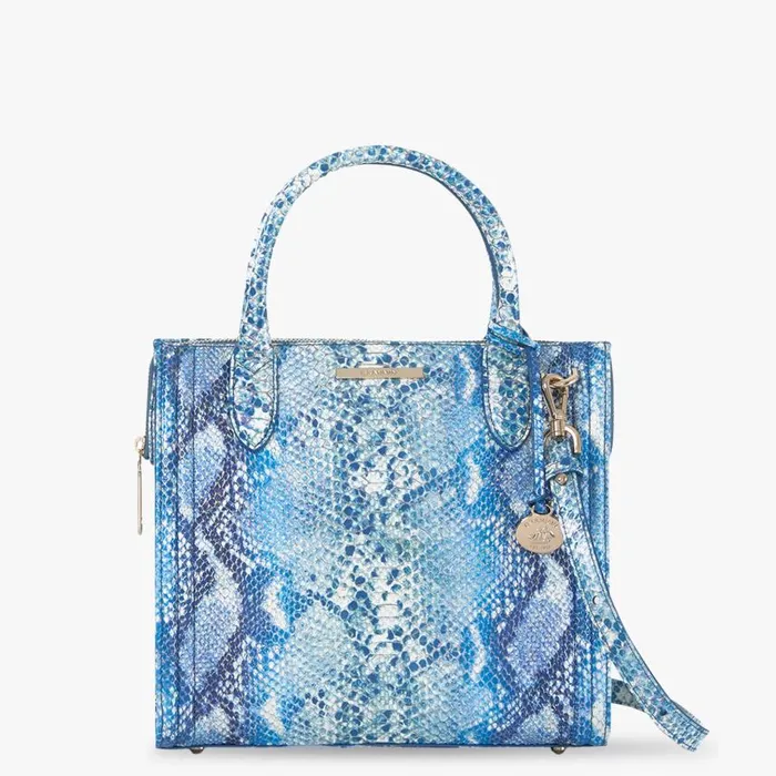 Women Brahmin Satchels Small Caroline Joyful Oceangrove