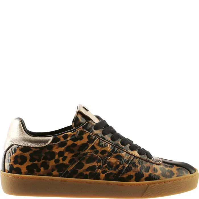 Women Hailey Sneakers Camel Multi HGL Sneakers