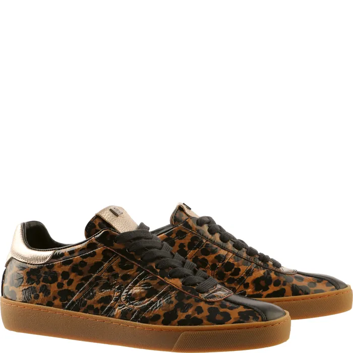 Women Hailey Sneakers Camel Multi HGL Sneakers
