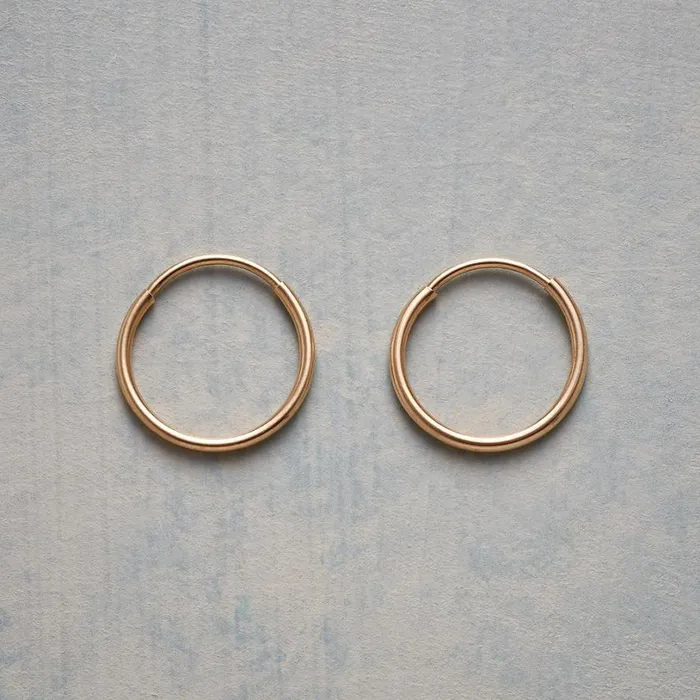 Women Uncomplicated Hoop Earrings Sundance Catalog Earrings